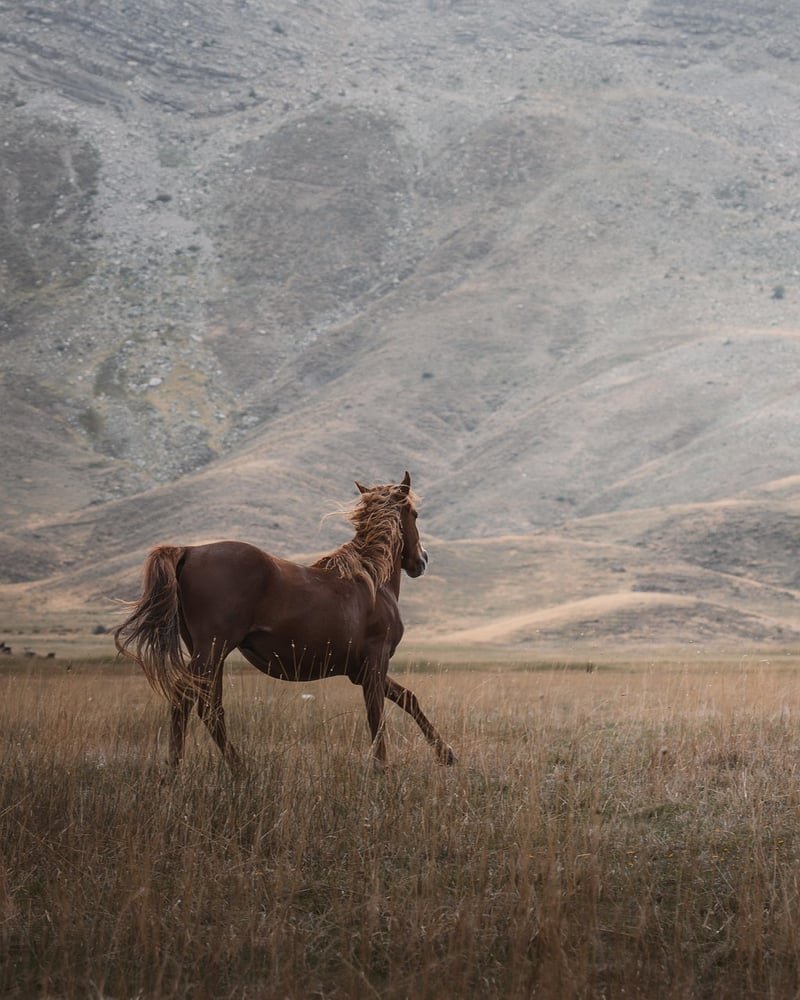 Breathtaking Portraits